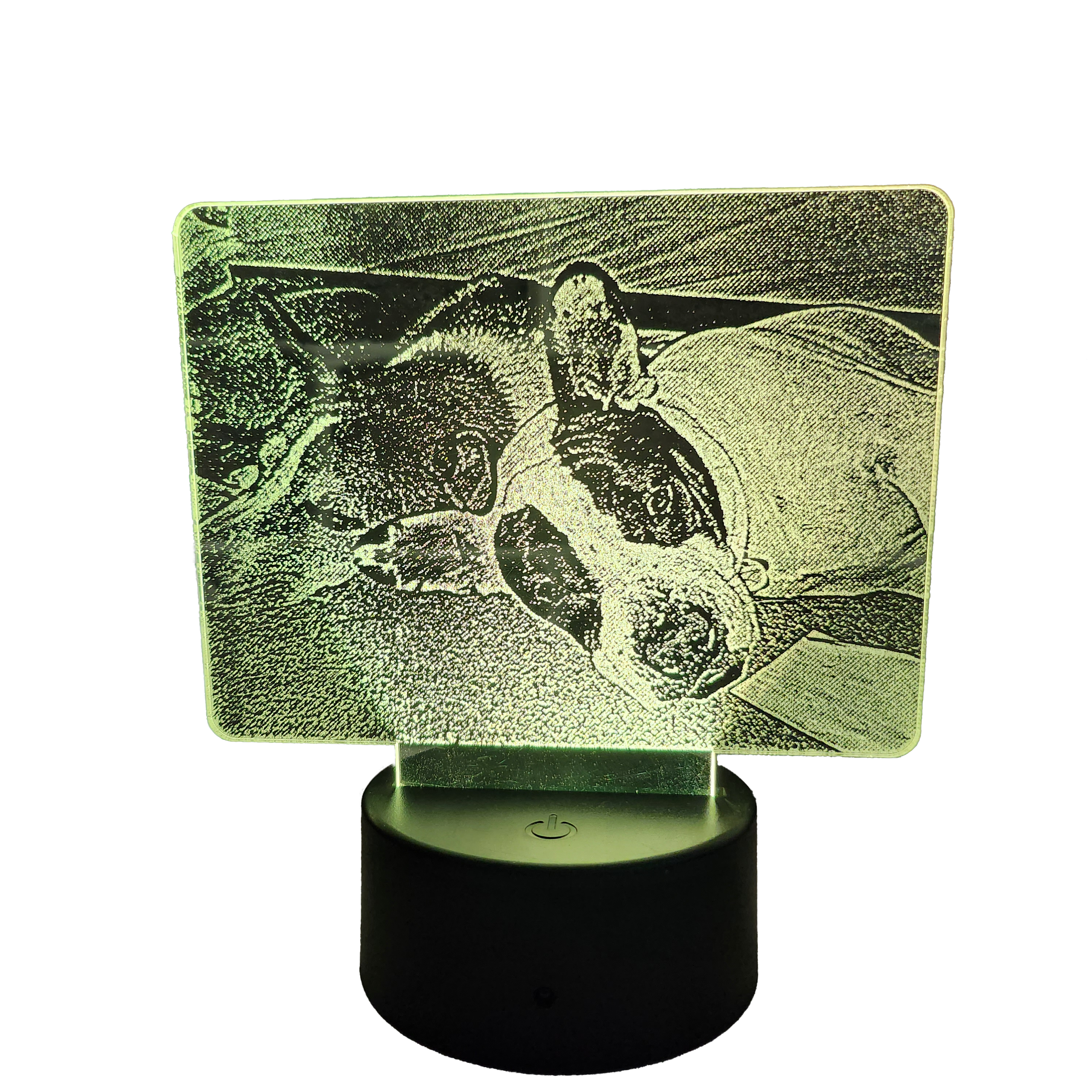 Finished custom LED light engraved with two dogs